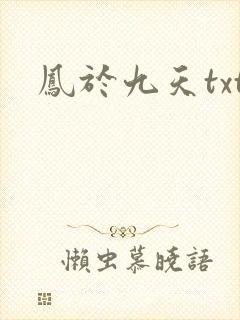 凤于九天txt