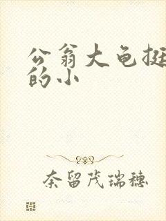 公翁大龟挺进我的小