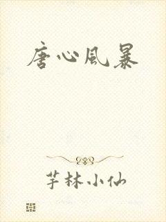 唐心风暴