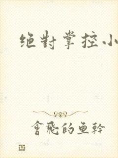 绝对掌控小说