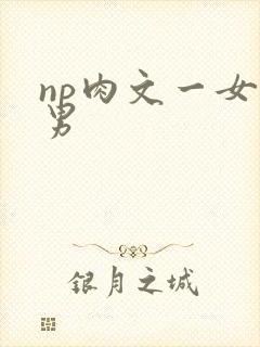 np肉文一女多男封面