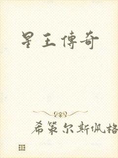 星王传奇