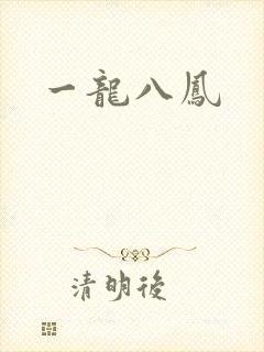 一龙八凤封面