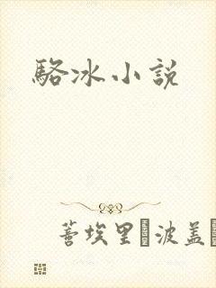 骆冰小说封面