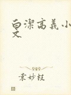 白洁高义小说全文封面