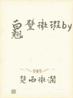 白璧微瑕by连翘封面