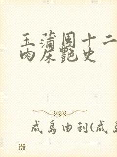 玉蒲团十二寡妇肉床艳史封面