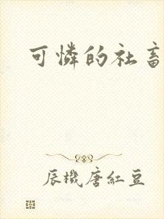 可怜的社畜封面