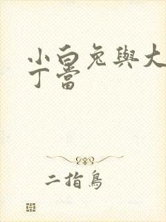 小白兔与大灰狼丁当封面