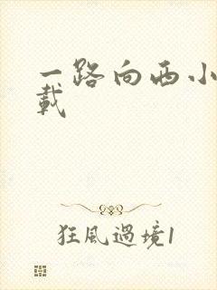 一路向西小说下载