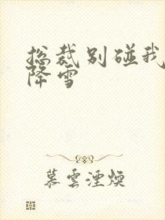 总裁别碰我 韩降雪