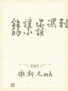 能让你湿到不行的小说