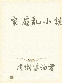 家庭乱小说