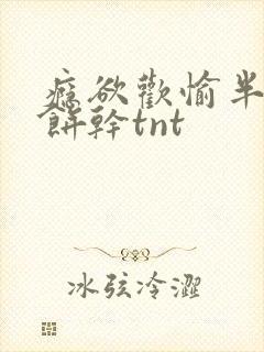 瘾欲欢愉半块小饼干tnt封面