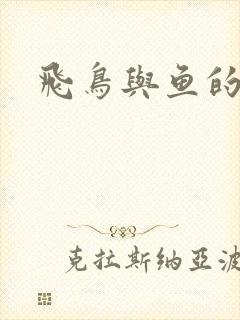 飞鸟与鱼的故事