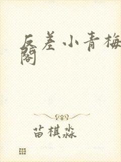 反差小青梅笔趣阁