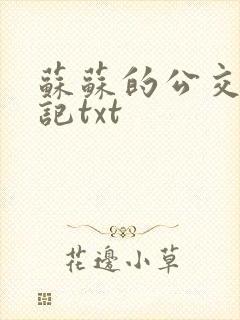 苏苏的公交车日记txt