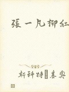 张一凡柳红