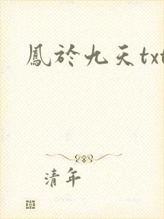 凤于九天txt