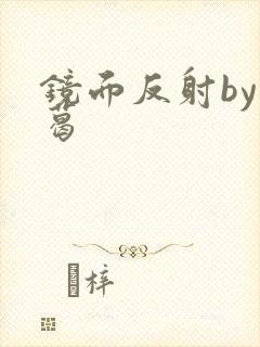 镜面反射by九葛