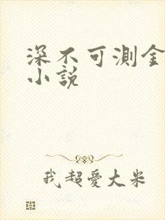 深不可测金银花小说