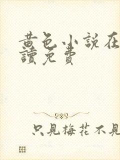 黄色小说在线阅读免费