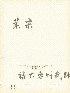 叶宋封面