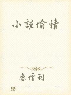 小说偷情