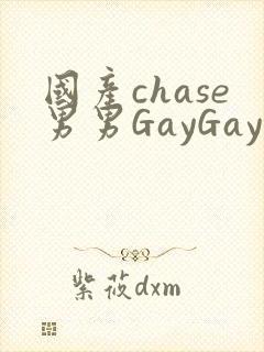 国产chase男男GayGay