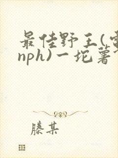 最佳野王(电竞nph)一坨薯饼封面