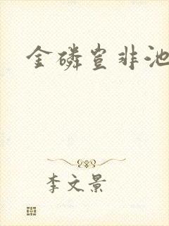 金磷岂非池中物封面