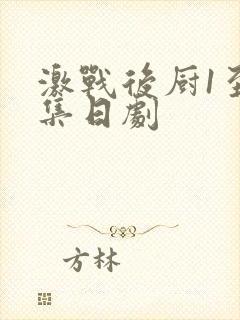 激战后厨1至5集日剧