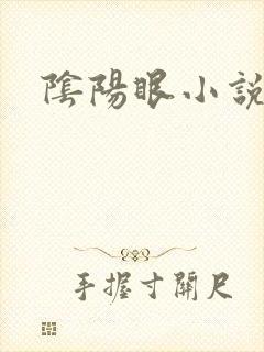阴阳眼小说