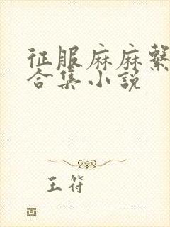 征服麻麻系列大合集小说