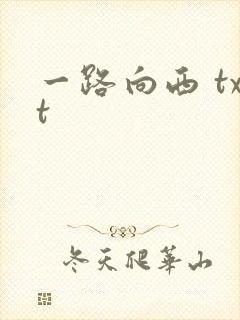 一路向西 txt