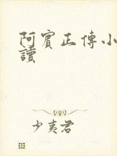 阿宾正传小说在读封面