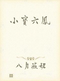 小宝六凤