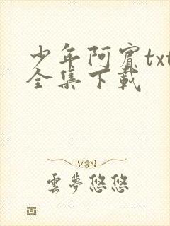 少年阿宾txt全集下载封面