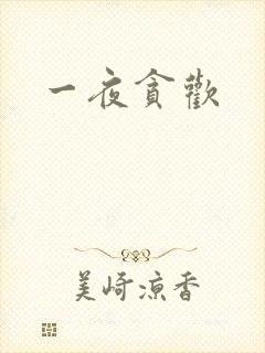 一夜贪欢