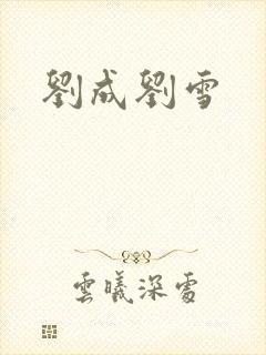 刘成刘雪封面
