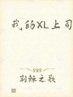 我的XL上司