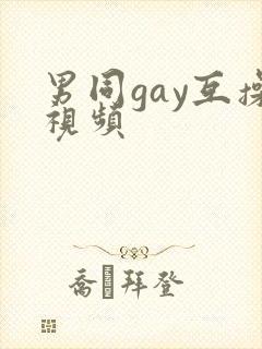 男同gay互操视频
