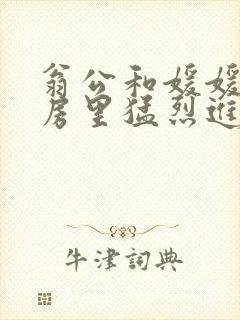 翁公和媛媛在厨房里猛烈进出