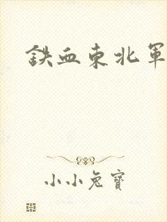 铁血东北军