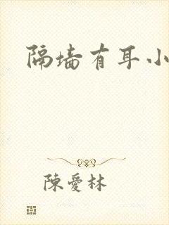 隔墙有耳小说封面