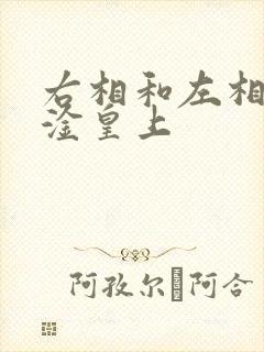 右相和左相一起淦皇上