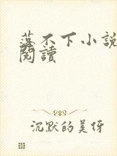 落不下小说免费阅读封面