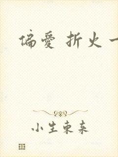 偏爱 折火一夏封面