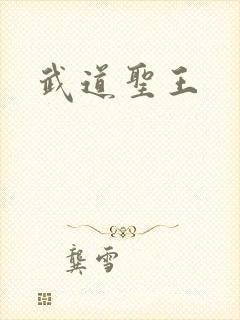 武道圣王封面