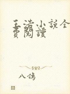 王浩小说全文免费阅读封面